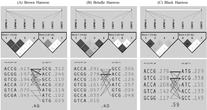 Fig. 1. Structure of linkage disequilibrium for CAPN1-CAST SNPs and its haplotype frequencies among Brown, Brindle and Black  Hanwoo
