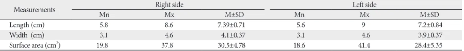 Table 2. Measurements of the length of tendons of the extensor digitorum brevis muscle