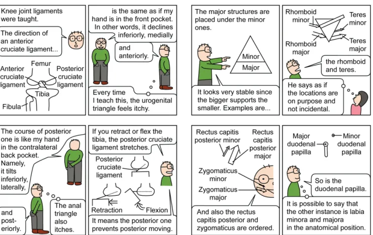 Fig. 1. Two representative comic strips to assist medical trainees’ learning of anatomy.