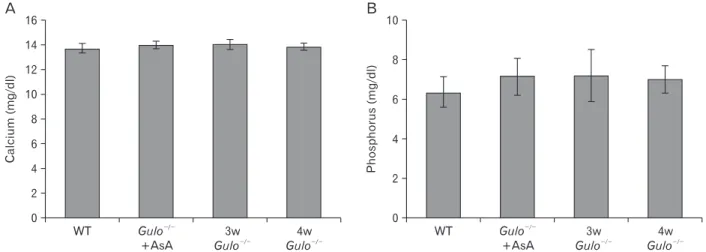 Fig. 1. Mice weight at baseline and at the conclusion of the experiment. The weight of the wild-type (WT), ascorbic acid-sufficient  Gulo -/-  mice  (Gulo -/- +AsA), and ascorbic acid-insufficient Gulo -/-  mice (Gulo -/- ) was measured at baseline and aft