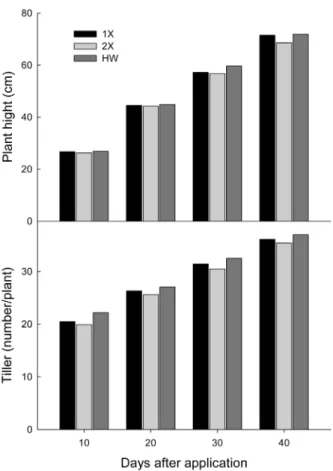 Fig. 1. Phytotoxicities of herbicides at different growth stage. 