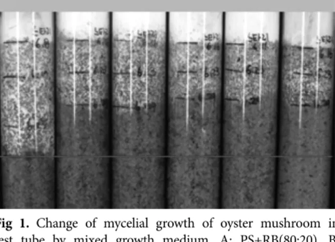 Fig 1.  Change  of  mycelial  growth  of  oyster  mushroom  in  test tube by mixed growth medium