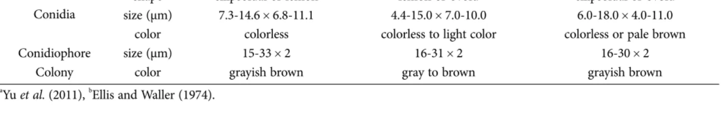 Table 1.  Comparison of mycological characteristics of the present isolate obtained from common fig (Ficus carica) and Botrytis  cinerea as previously described