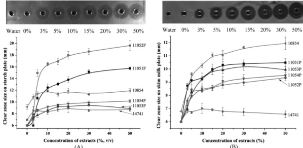 Fig. 3. Amylase (A) and protease (B) activity of B. subtilis and B. licheniformis cultured on FRVSB extract containing medium.