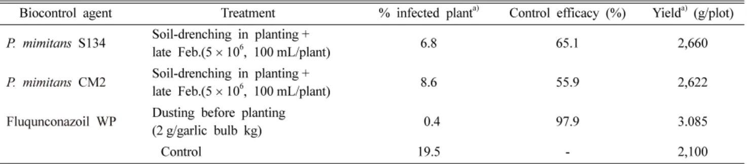 Table 2. Effect of biological control on garlic white rot by treatment with P. minitans S134 in field in Taean in 2012 b)