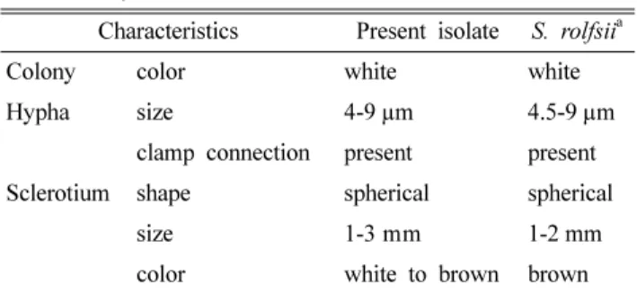 Table 1. Comparison of mycological characteristics of the present isolate obtained from Perilla frutescensi and  Sclerotium rolfsii