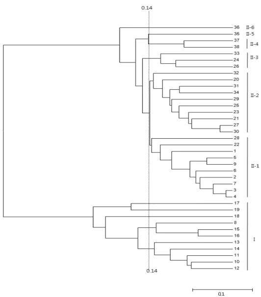 Fig. 2. Dendrogram showing the relationship among 38 rice accessions based on genetic distance
