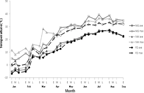 Fig. 3. Comparison of the seedling emergence ratio between  Mongolian (MG) and Normal type (NM) of shaded plastic house.