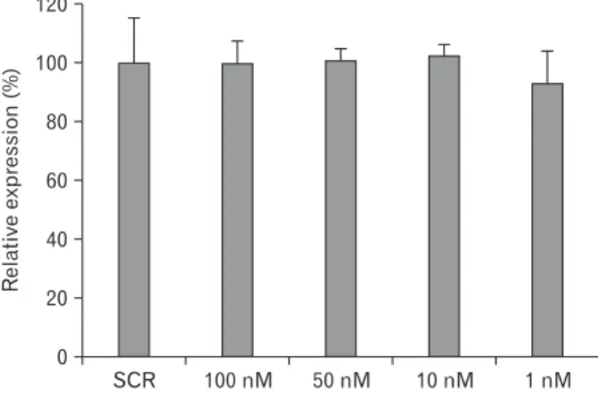 Fig. 3. Down-regulation of CDH3 in HuCCT1 cells reduced migration in wound healing assay