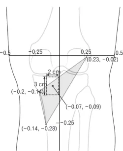Fig. 5. Nerve branches (arrow heads) running superficially on the  periosteum of the tibia entering the popliteus on its superfi cial surface  about 1 cm distal to its superior border