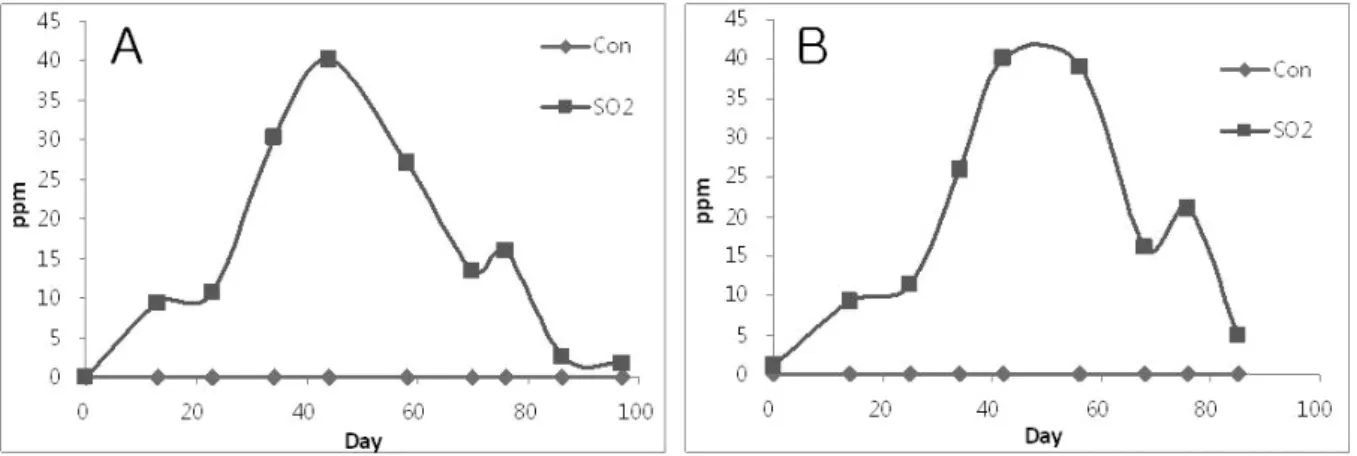 Fig. 1. Changes of SO 2  concentration in the package of SO 2  pad treated grape fruit