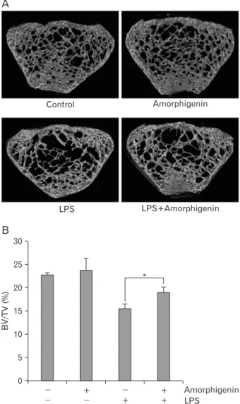 Fig. 4. Amorphigenin suppresses RANKL-induced gene expression. 