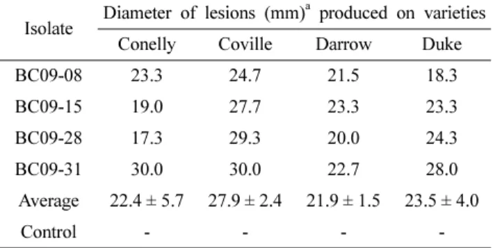 Table 3. Pathogenicity of Botrytis cinerea isolates to leaves of blueberry trees by artificial inoculation