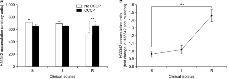 Fig. 3. Relative expression of the efflux pump gene, adeB, deter- deter-mined by real-time reverse transcriptase PCR in 31 tigecycline-  susceptible (S), 40 intermediate (I), and 49 resistant (R) Acinetobacter baumannii strains