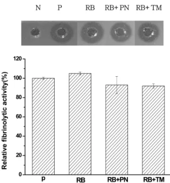 Fig. 2.  Fibrinolytic activity of extracts from  P. linteus  on brown rice added rice bran, pine-needle and turmeric powder.
