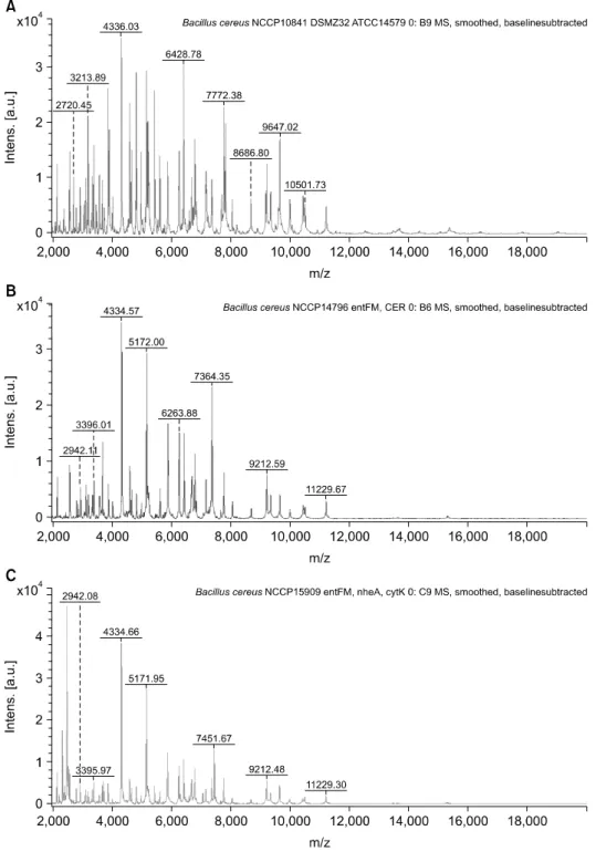 Fig. 1. Representative spectra from  Bacillus strains supplemented in the  database by MALDI-TOF MS