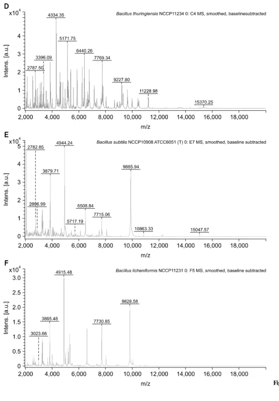 Fig. 1. Continued. 나타내었다.  이를 이용하여 국내임상분리병원체 데이터베이스 를 제작하였고 단백체 프로파일기반 MSP dendrogram을 Fig