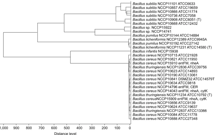 Fig. 2. Major spectrum profile (MSP) dendrogram of Bacillus  strains supplemented in the database