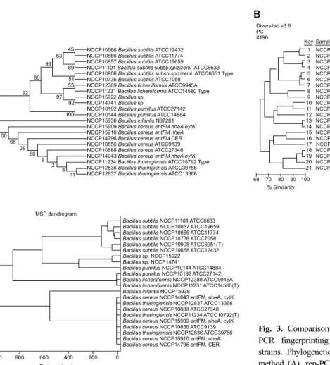 Fig. 3. Comparison of 16S rRNA gene, repetitive-sequence based  PCR fingerprinting and MALDI-TOF MS analysis in Bacillus  strains