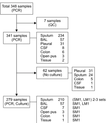 Fig. 1. Type distributions of samples according to the tests per- per-formed. Abbreviations: BAL, bronchoalveolar lavage; Pleural, pleural  fluid; CSF, cerebrospinal fluid, SM, solid media; LM, liquid media.