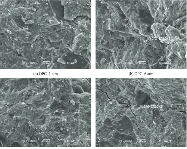 Fig. 5 SEM micrographs of concrete under hydrostatic pressure
