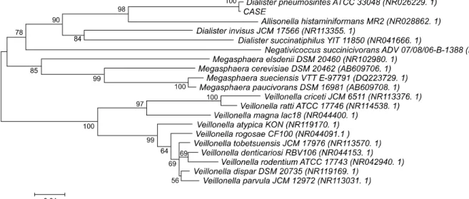 Fig. 1. Molecular phylogenetic tree constructed by neighbor-joining method using the 16s rRNA sequences of our case and related species