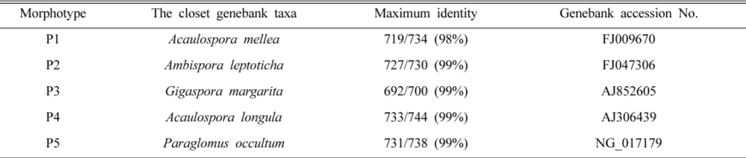 Table 1. BLAST result of AMF spores from NCBI