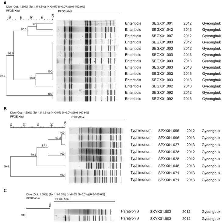 Fig. 1. Clustering of XbaI digested PFGE patterns for Salmonella spp..
