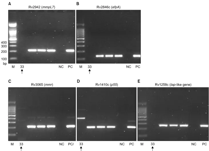 Fig. 1. Molecular analysis of efflux pump genes in clinical specimens of Korean patients