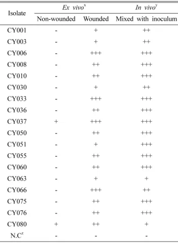Table 2. Pathogenicity of Cylindrocarpon destructans isolates on ginseng roots ex vivo and in vivo