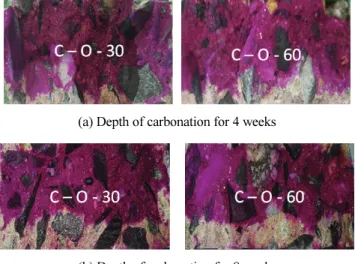 Fig. 9 Carbonation velocity coefficient