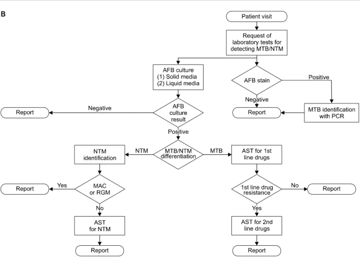 Fig. 1. Continued. 가 있다.  이 검사는 항산균 도말 양성인 검체나 배양된 균으로  검사할 수 있다. 중합효소연쇄반응을 기반으로 하기 때문에 결 과를 빨리 알 수 있어서 내성 결핵이 의심되는 경우 주로 의뢰 한다