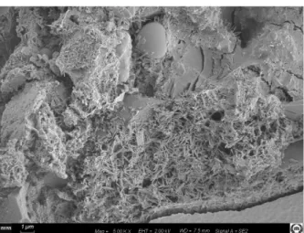 Fig. 3 Measured penetration depth fo PDMS