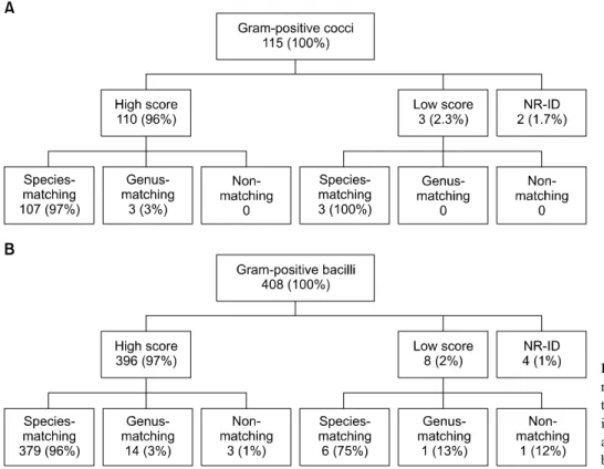 Fig. 1. Comparison of identification  results using MALDI-TOF MS with  those using conventional methods (A) in 115 aerobic gram-positive cocci  and (B) in 408 aerobic gram-negative  bacilli