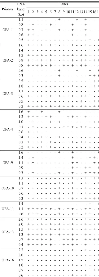 Fig. 2. Random amplification of polymorphic DNA profiles in different strains of Lentinus lepideus using OPA-1 primer