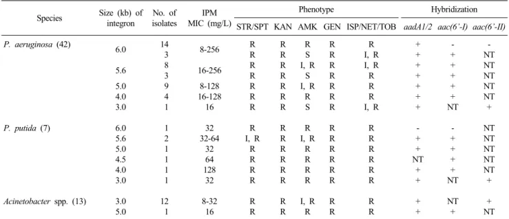 Table 1. Charteristics of P. aeruginosa,  P. putida and Acinetoabcter isolates with bla VIM-2  carrying integrons Species Size (kb) of  integron No