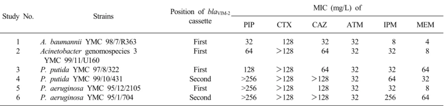 Table 2. MIC of antimicrobial agents for bla VIM-2 -positive gram-negative bacilli with different position of bla VIM-2  cassette in class 1 integrons