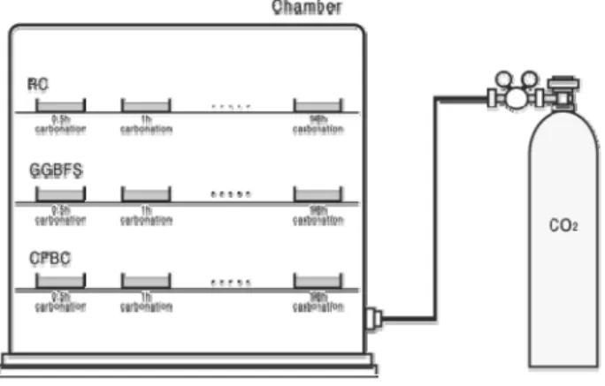 Fig. 2 CO 2  control chamber