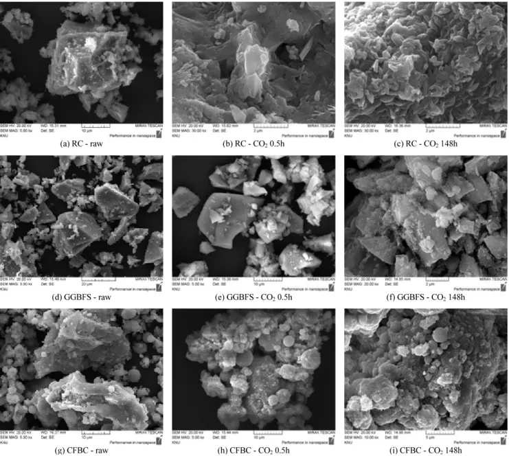 Fig. 5 SEM images.