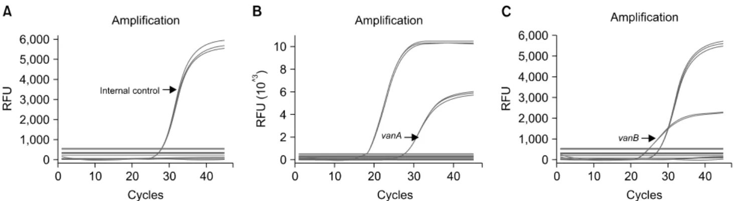 Fig. 1. Results of multiplex real-time PCR for the detection of VRE in triplicate. (A) E