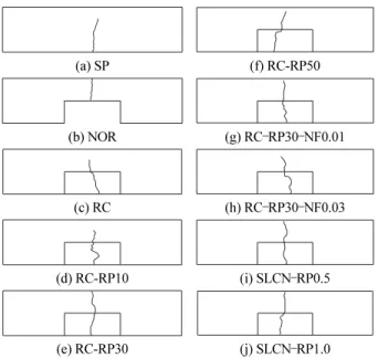 Fig. 11 Failure pattern with test member