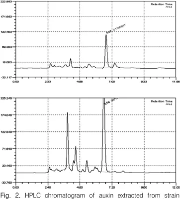 Table  2.  Growth  effect  of  mung  bean  pot  infected  with  auxin-producing  bacterium