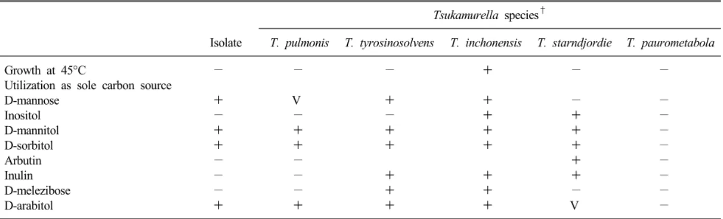 Table 1.  Phenotype characteristics of the isolate compared to those of other Tsukamurella species*