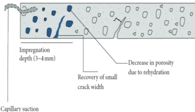 Fig. 1 Schematic diagram of Surface condition and compositions of  colloidal silicate(Park et al., 2014; Kim, 2010)
