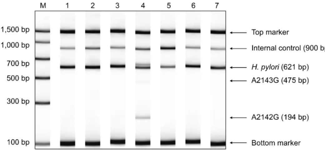 Fig. 1. Detection of the point  mutations at 2143 (A to G) and  2142 (A to G) in 23S rRNA gene  by polymerase chain reaction  products