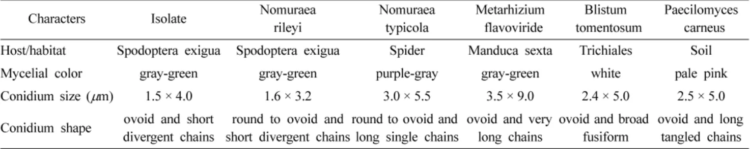 Table 2. Morphological characters of a fungal isolate from an infected larva of  Spodoptera exigua