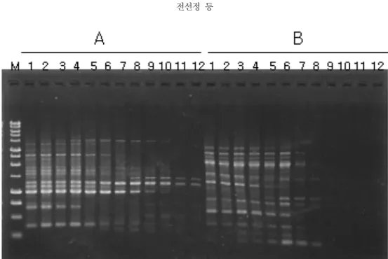 Table 3 은 본 연구에 적용한  URP primer  중에서 큰느