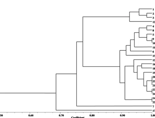 Fig. 5. Dendrogram derived from URP-PCR polymorphic bands of  Pleurotus eryngii  strains