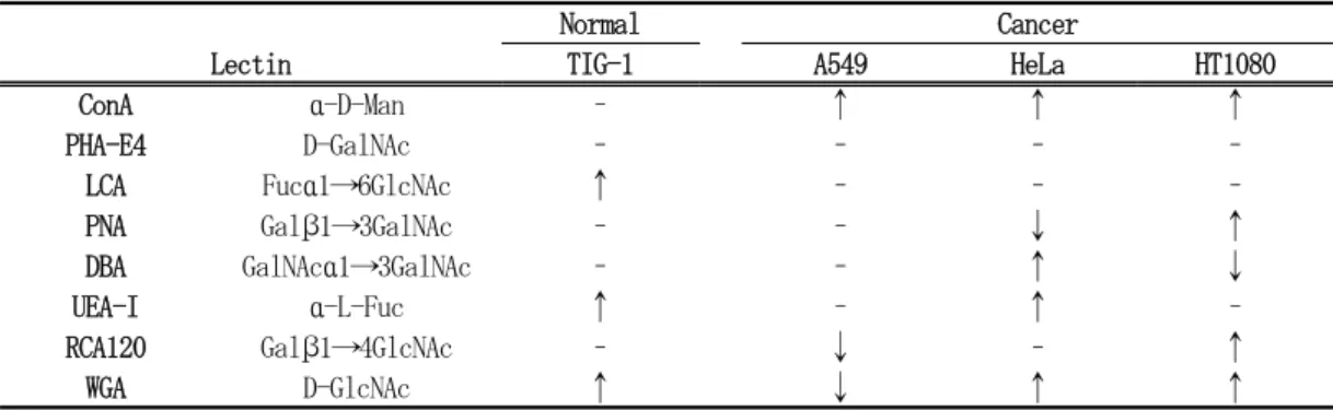 Table  1.  Sugar  chain  expression  profiling  using  FITC-labeled  lectins  after  treatment  with  the  fucoidan  extract