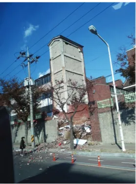 Fig. 3 Sichuan earthquake (2008)